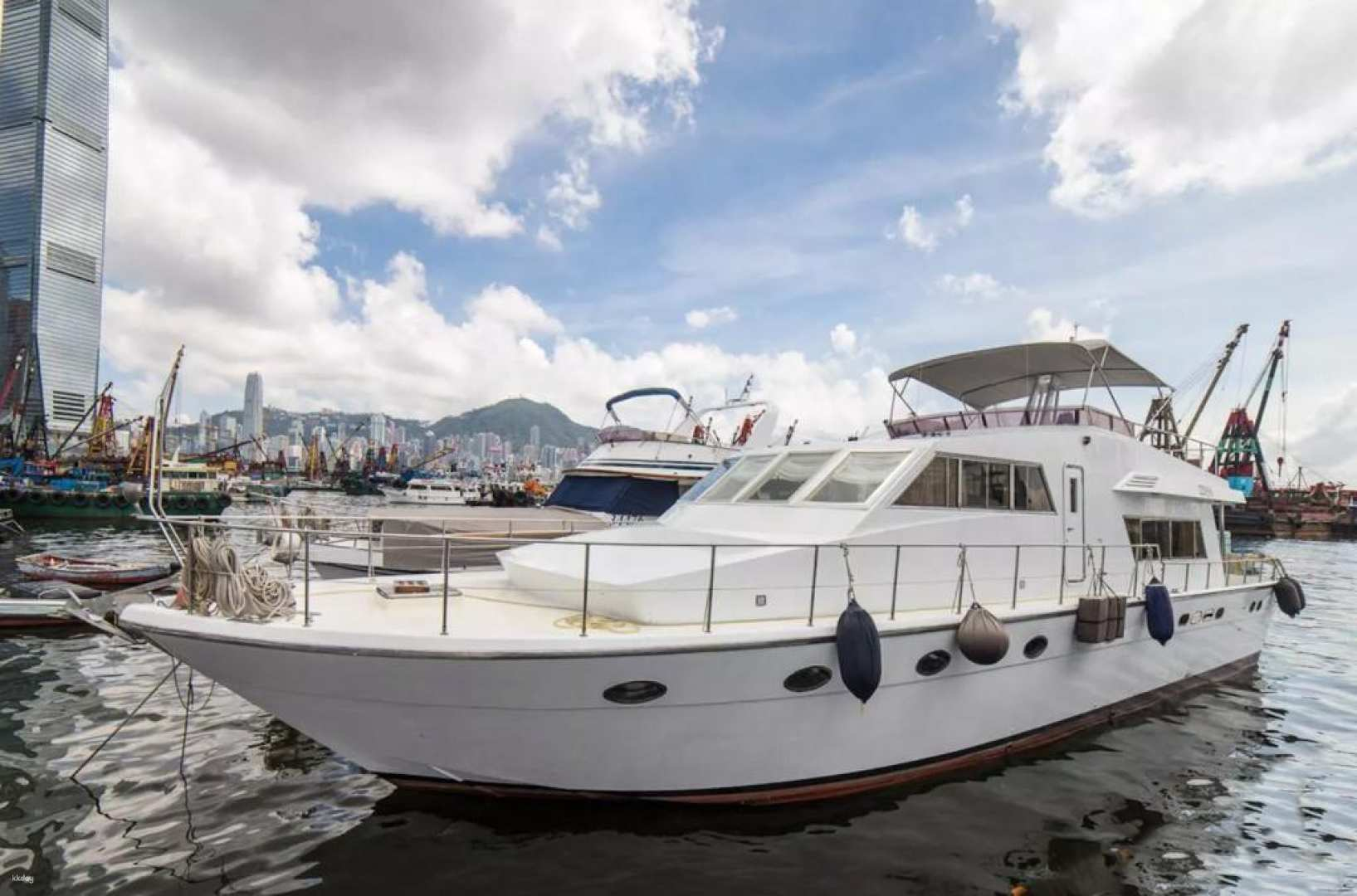 Night Cuttlefish Fishing | Blue Butterfly Bridge (Depart from Central) / (Depart from Kwun Tong Pier) / Sai Kung Kau Sai Chau (Depart from Sai Kung) Night Cuttlefish Fishing Tour | Cuttlefish Cooking on the Spot | You can choose to depart from Central Pier 9 / Kwun Tong Public Pier / Sai Kung Pier 3 - Photo 1 of 5